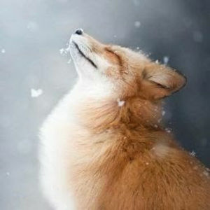 Meet your Posher, Gabriella